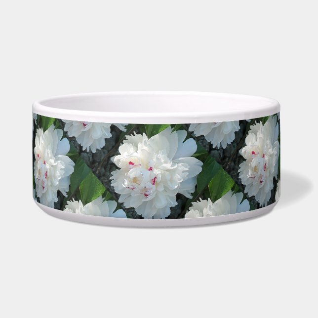 Tigela Pet Bowl de Peony MultiPrecioso (Frente)