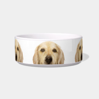 Tigela Pet Bowl/ouro