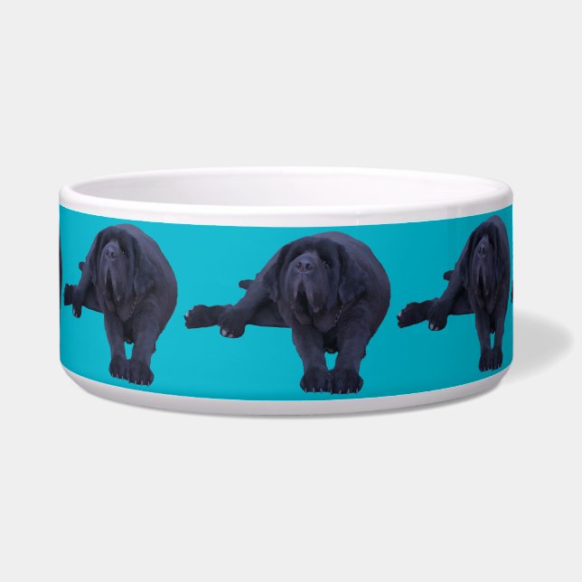 Tigela Pet Bowl para qualquer Raça Maior de Cachorro (Frente)