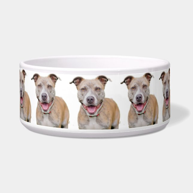 Tigela Pet Bowl/Pitbull (Frente)