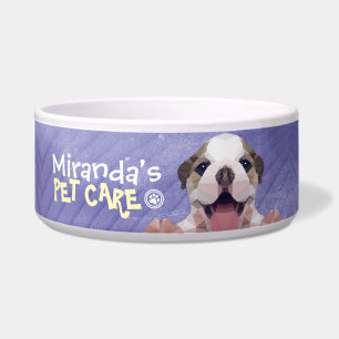 Tigela Pet Care Sitting Bathing Grooming Salon Comida Com