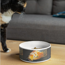 Tigela Pet De Fotografia Colorida De Peixes