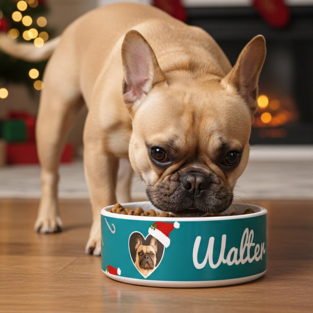 Tigela Pet de Natal de Natal de Santa Hat Teal Photo (Just add your best friend's photo and name to this festive teal dog bowl)