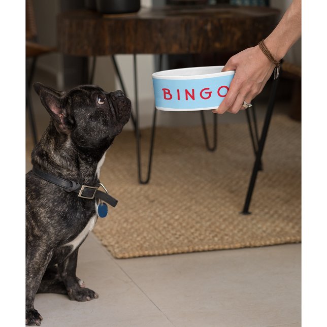 Tigela Pet Dog Personalizado Nome de Gato Comida Bowl (Custom Personalized Pet Dog Cat Name Food Bowl)