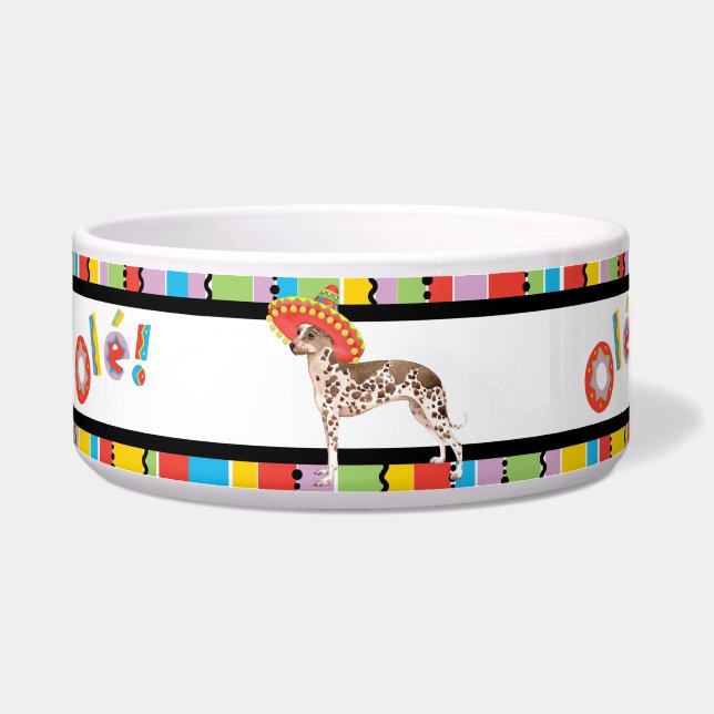 Tigela Pet Orquídea Fiesta Peruana (Esquerda)