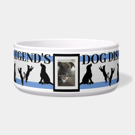 Tigela Pet Photo and Name Bowl personalizado