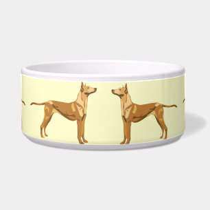 TIGELA PHARAOH HOUND