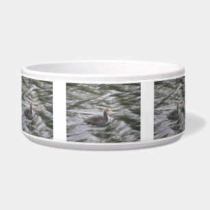 Tigela Pintinho de Coot em Águas Choppy Pet Bowl