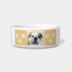 Tigela Pintura em Bulldog - Arte Cão Original Bonita