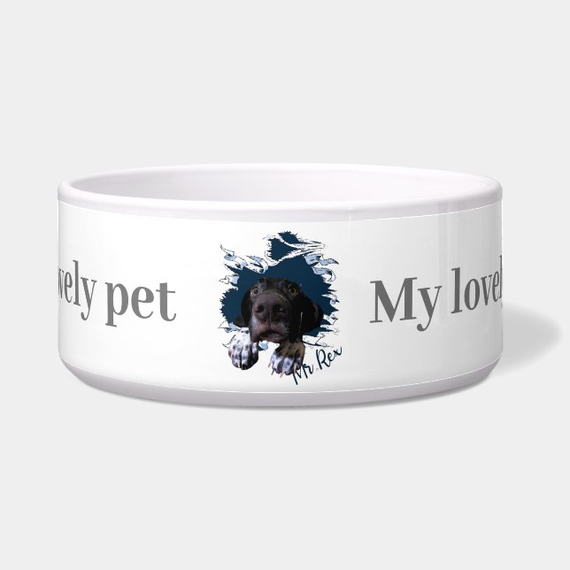 Tigela Pointer Alemão de Cabelo Curto  (Frente)