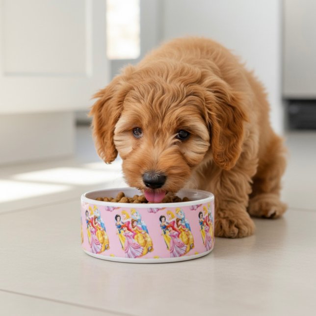 Tigela Princesa Bowl (Criador carregado)