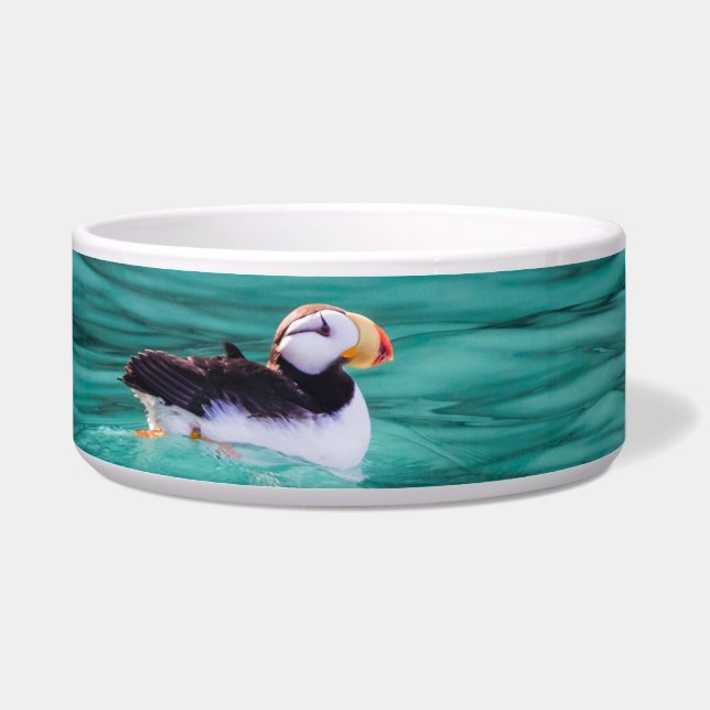 Tigela Puffin In Resurrection Bay, Alaska (Direita)