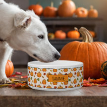 Pumpkins E Colorir O Padrão E O Nome Do Autumn