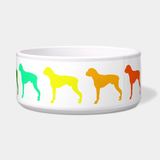 Tigela Rainbow Boxer Pet Bowl (Direita)