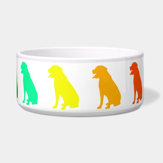 Tigela Rainbow Labrador Pet Bowl (Direita)