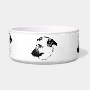 Tigela Refeição de Pet, Design Ousado