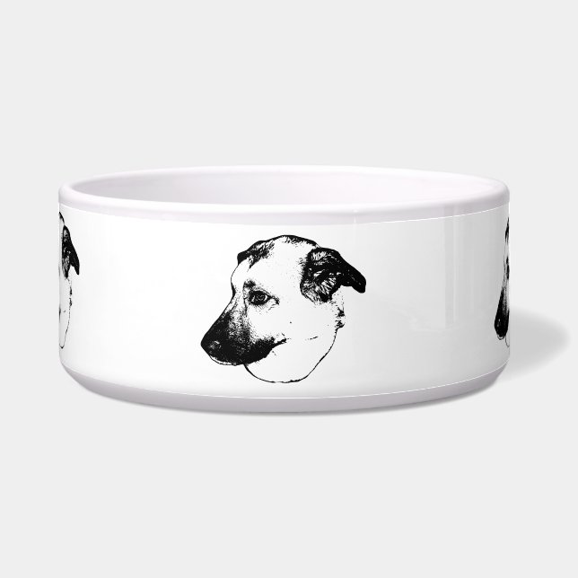 Tigela Refeição de Pet, Design Ousado (Frente)