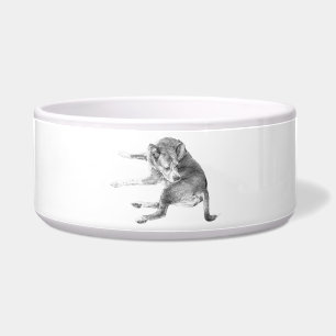 Tigela Refeição do Cão Feliz