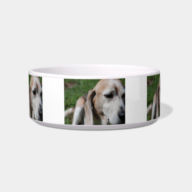 Tigela retrato do beagle (Frente)
