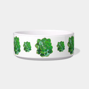 Tigela Rosette Succulents Pet Bowl