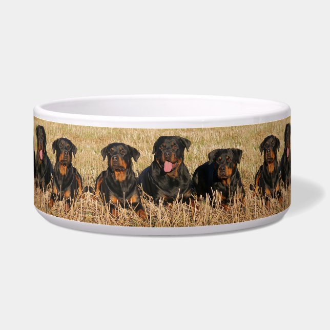 Tigela Rottweilers (Esquerda)