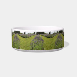 Tigela Seafoam Lavender Farm Pet Bowl
