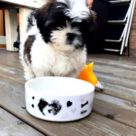 Tigela Shh Tzu Modern Pup Icon Bowl Personalizado