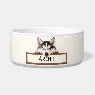 Tigela Siberian Husky