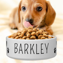 Simples Cão Pet Cão Personalizado Água Comida Cerâ