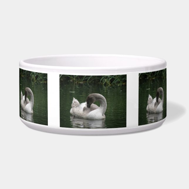 Tigela Sleepy Swan Pet Bowl (Frente)