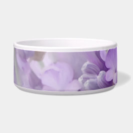 Tigela Sonhos da lavanda