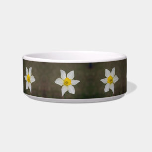 Tigela Springtime Cat Bowl