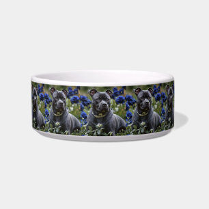 Tigela Staffordshire Bull Terrier no Jardim de Rosas Azui