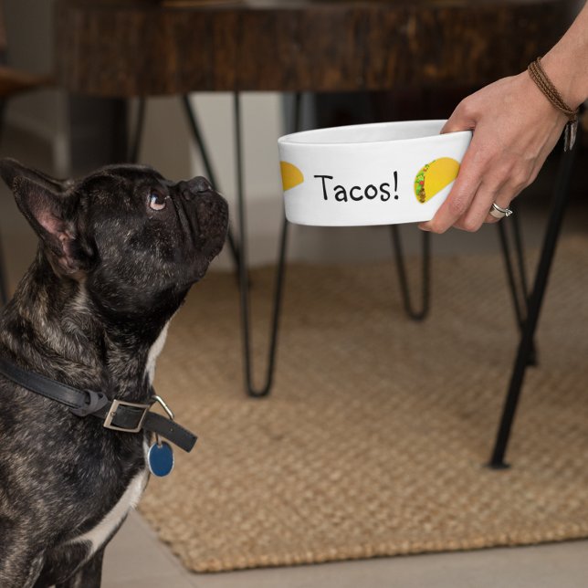 Tigela Tacos Humor Engraçado Cachorro Pet (Criador carregado)
