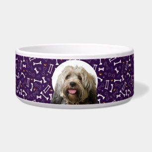 Tigela Tibetano Terrier Personalizado Foto e Nome Dog Bow