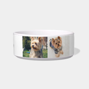 Tigela "Tigela Média Yorkie Personalizada de Forma Positi