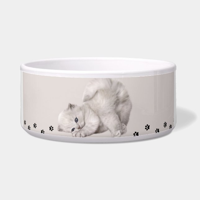 Tigela "Tigela Pawyer"? Gatinho (Frente)