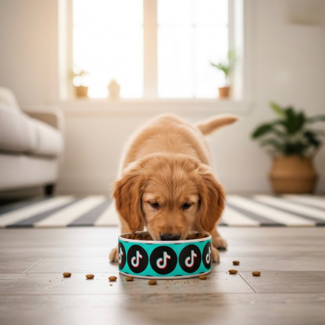 Tigela TikTok (Criador carregado)