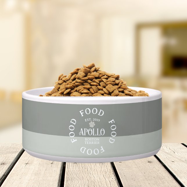 Tigela Tipografia de Letra Arqueada Personalizada com Nom (Customize this fun, custom dog bowl with your pet's name! )