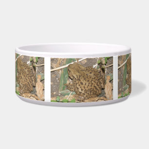 Tigela Toad Bowl Europeu