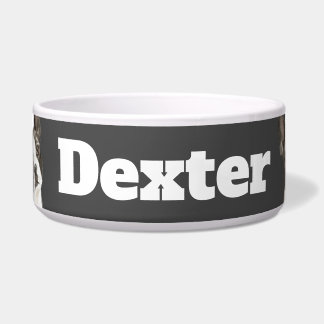 Tigela Triângulo de Boston Terrier