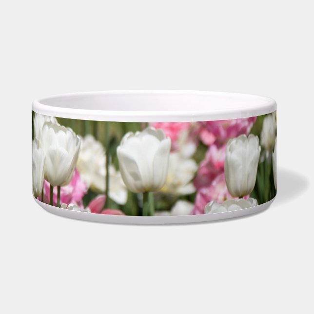 Tigela Tulipas brancas e cor-de-rosa brilhantes num dia e (Esquerda)