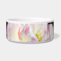 Tulipas cor-de-rosa brilhantes num dia ensolarado