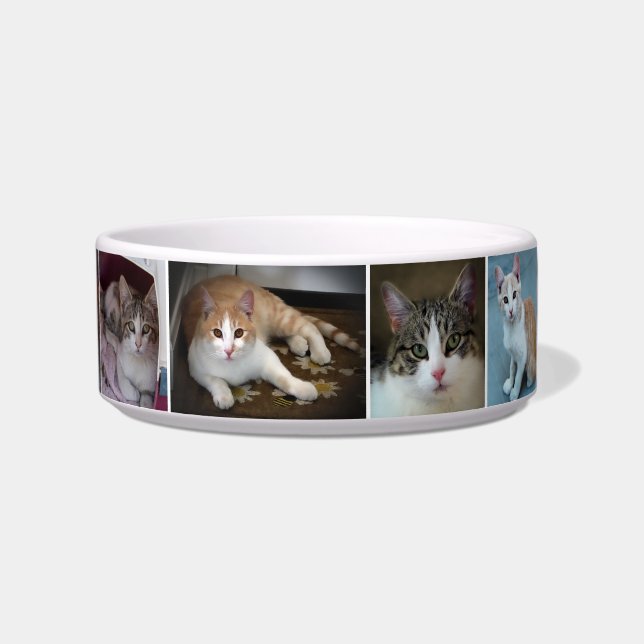 Tigela Um Casal de Gatinhos (Frente)