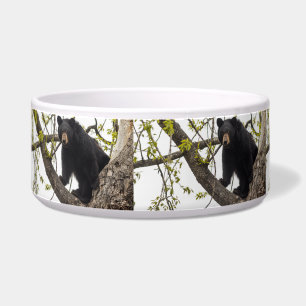 Tigela Urso preto de escalada