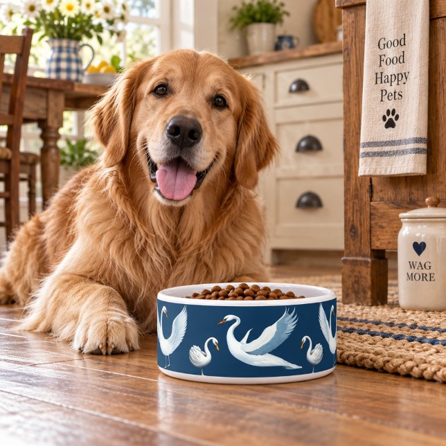 Tigela Vahagn Pet (Vahagn Pet Bowl
)