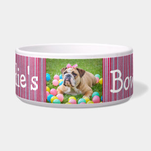 Tigela Vermelho personalizado e azul da bacia do cão da