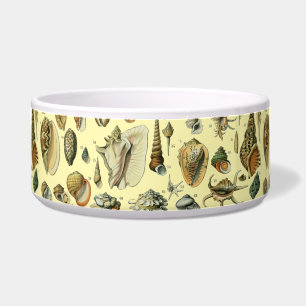 Tigela Vintage Mollusk Shell Seashell Art