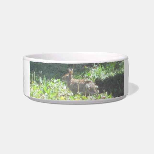 Tigela Wild Bunny Pet Bowl (Frente)