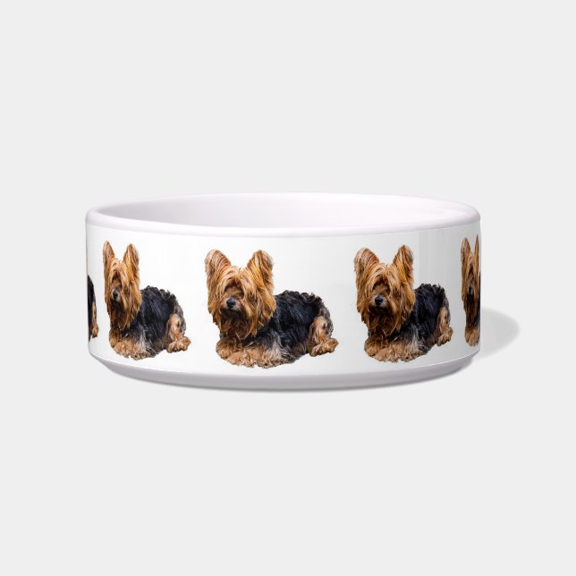 Tigela Yorkshire Terrier (Frente)